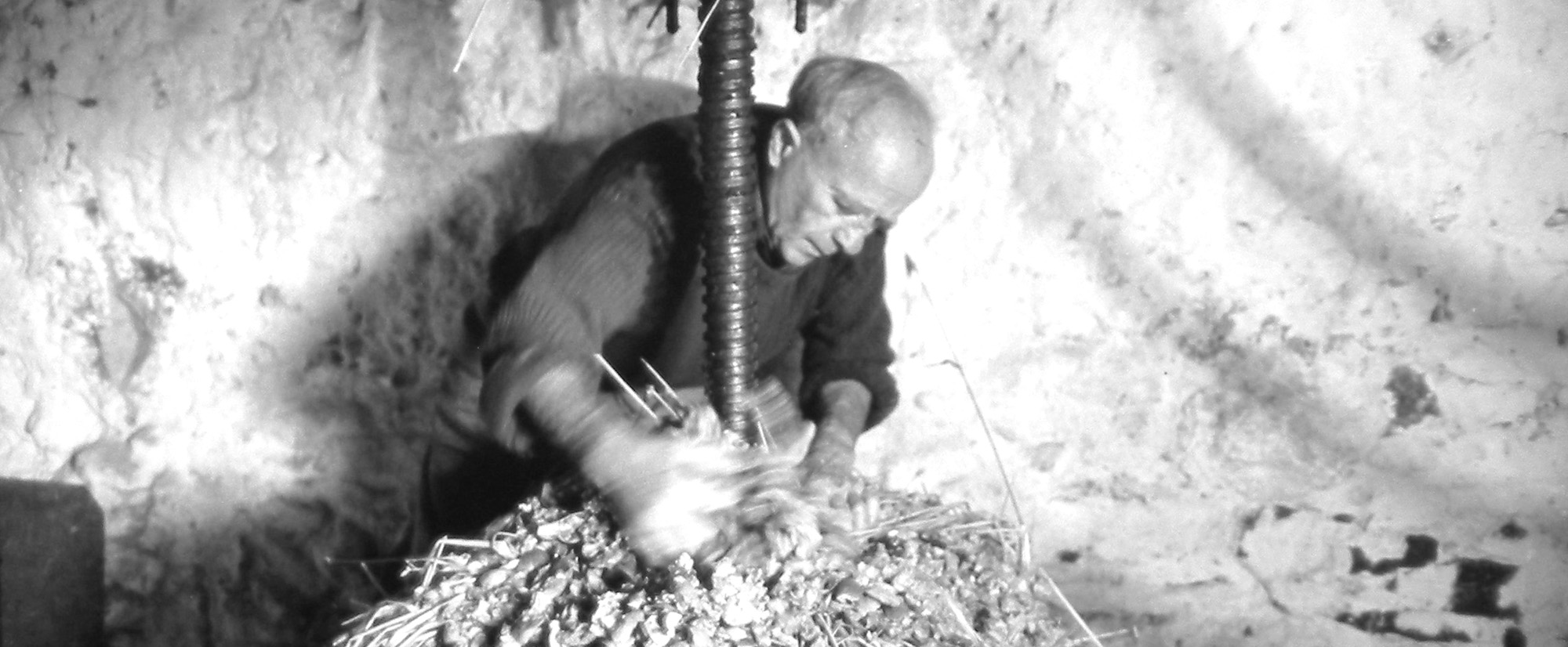 cider-making-common-ground