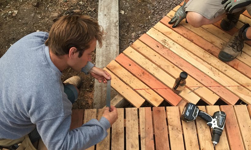 Boardwalk Diary, July 2017