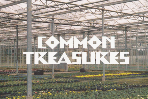 Common Treasures