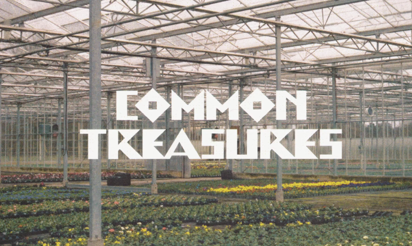 Common Treasures